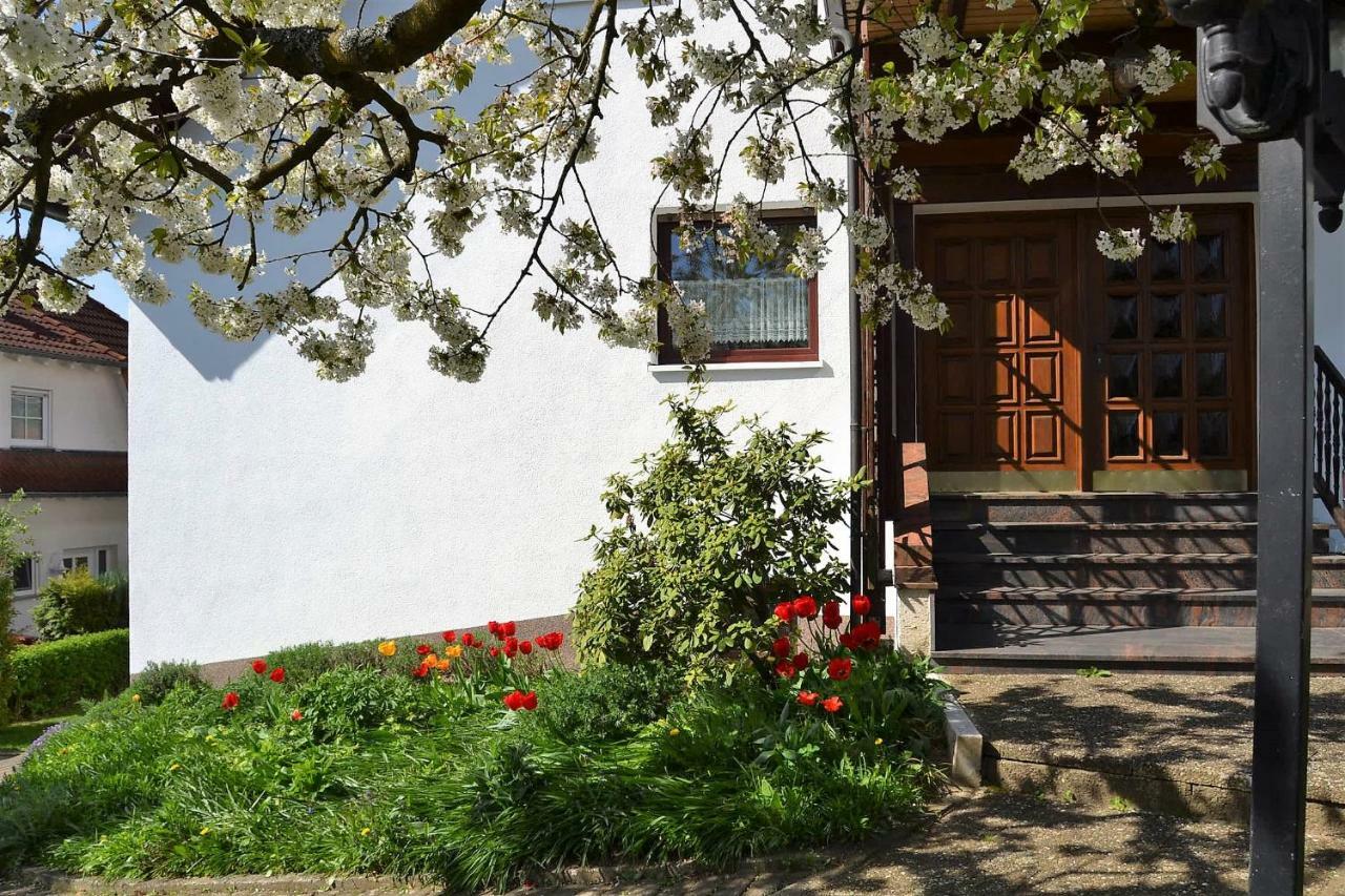 Fewo Ackermann Modautal Buitenkant foto